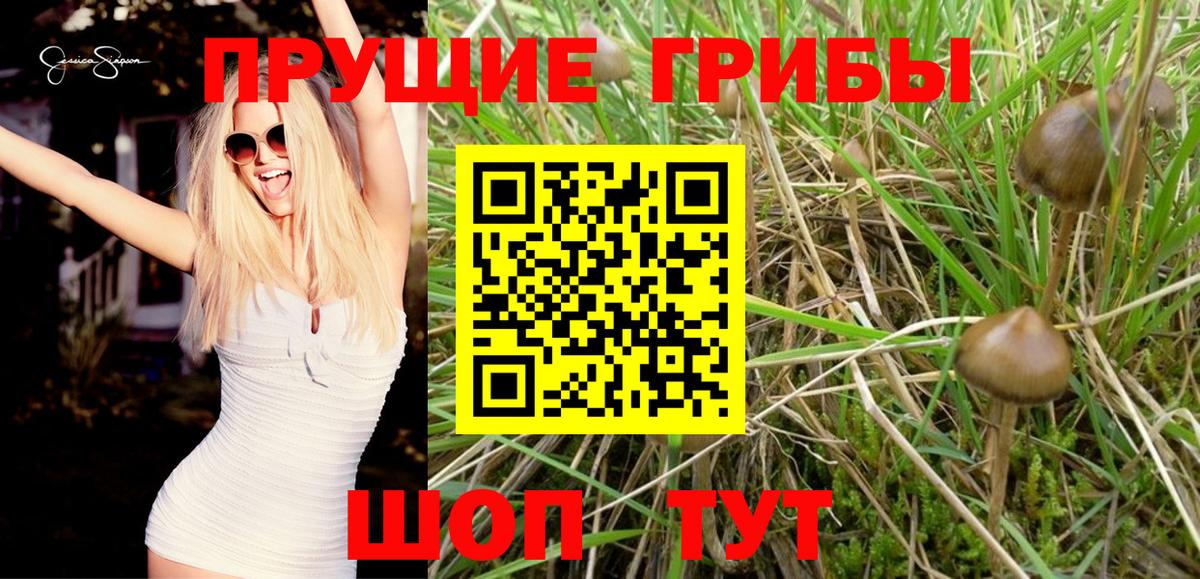 Галлюциногенные грибы GOLDEN TEACHER Междуреченск