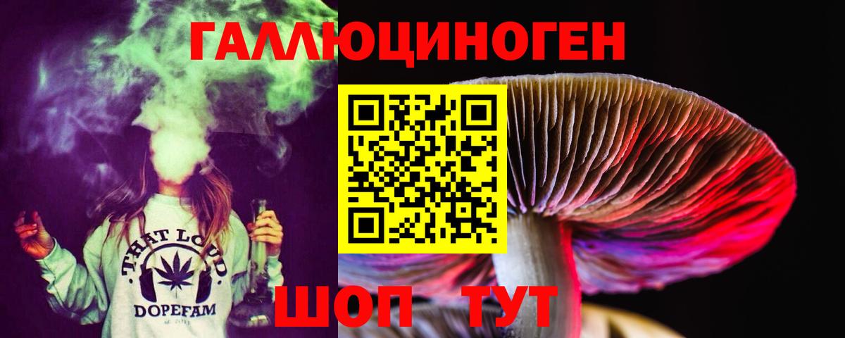 Междуреченск  Псилоцибиновые грибы прущие грибы  Вход с VPN 